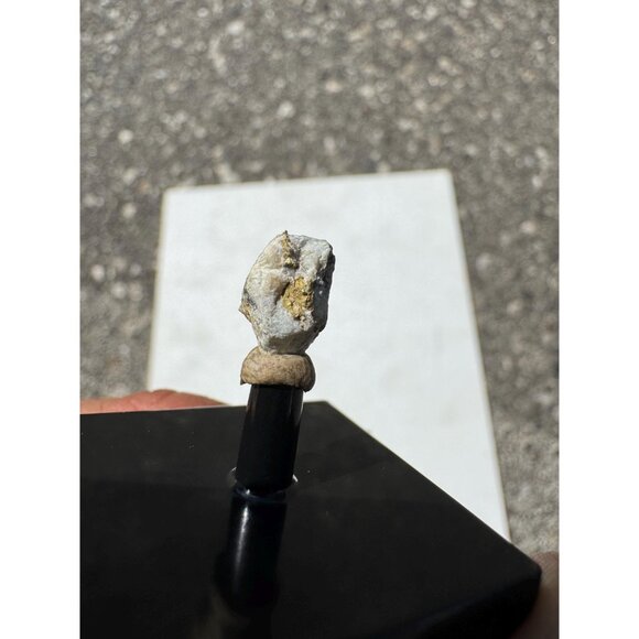 Gold on Quartz - Natural California Gold Specimen in Perky Display Box #6 - Picture 7 of 9